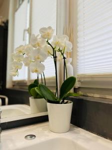 B&B / Chambres d'hotes Le 8 : photos des chambres