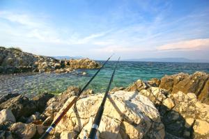 Villa Mendula, a pet friendly rustic haven surrounded by nature