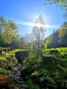 Ferienwohnung Winterberg - 3hvězdičkové hotely ve městě Winterberg