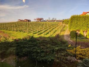 Hotel Winnica Maria Anna