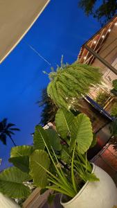 HOTEl LA CANDELARIA ROOM HOUSE