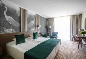 Premium Double or Twin Room room in Thermal Hotel Visegrad