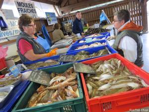 Appartements Appartement cosy vue port : photos des chambres