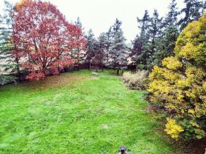 B&B / Chambres d'hotes Chateau de Bellevue : photos des chambres