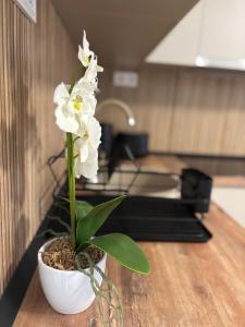 Agora2 Apartman
