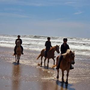 B&B / Chambres d'hotes Au Coeur du Ranch: Chambres d-Hotes dans le Medoc : photos des chambres