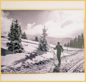 Appartements Le Dune I T2 I Annemasse : photos des chambres