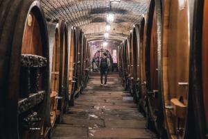 Maisons de vacances Charmante maison familiale sur la Route des Vins d-Alsace : photos des chambres