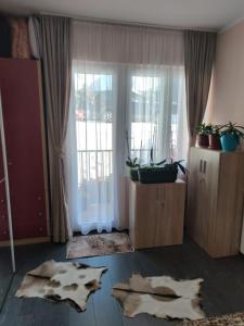 Harmonia LUX Kolašin