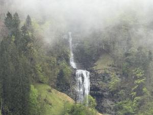 Revier Stäuben-Oase