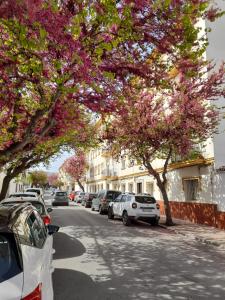 Apartamento Solimar