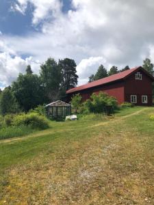 Mormors stuga har charmigt torrdass och utedusch i trädgården