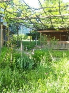 Воржоми Mzetamze