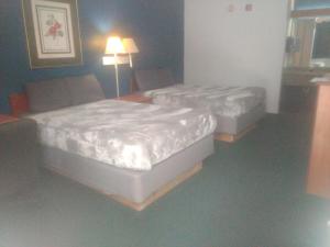 2 Double Beds Hotel Studio 107