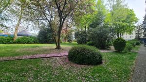 Bright room with private bathroom and market square view