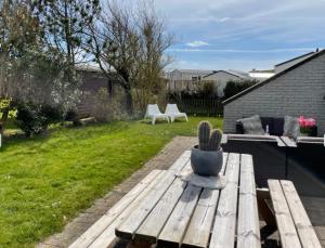 Strand en duinen 331