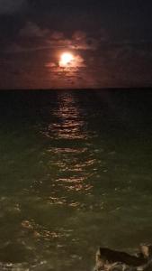 Praia Ilha de Itamaracá