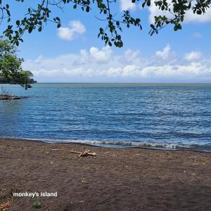 Monkeys Island Hostel