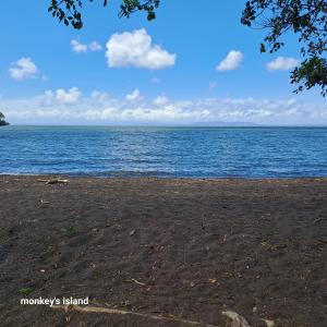 Monkeys Island Hostel