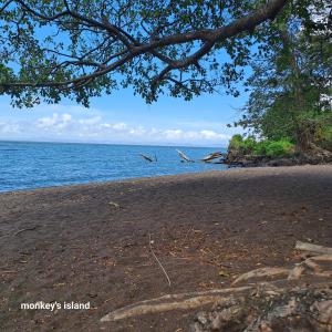 Monkeys Island Hostel