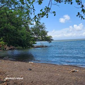 Monkeys Island Hostel