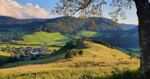 Ferienwohnung Schweizer
