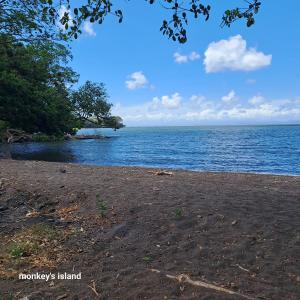 Monkeys Island Hostel