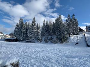 Studio reposant à la montagne