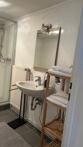 Haus Crisan- Garconniere