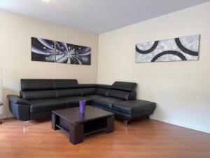 Appartements Gite Le Vignoble : photos des chambres