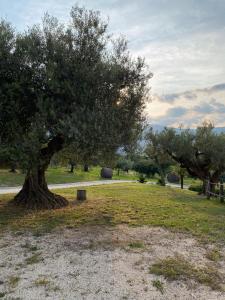 Casalecipriano - Country house with swimming pool