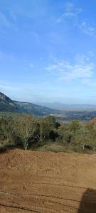 Le gîte des cigales du Devès