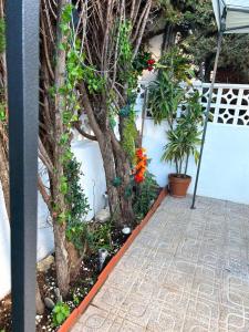 Enjoy the experience and details