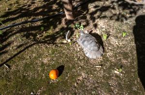 Central Athens 2 bedroom Apartment in Kolonaki