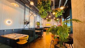 Exclusive 1BR Apartments in ONE Cotroceni