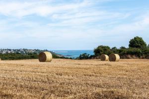 Campings Mobil-home Premium avec spa privatif : photos des chambres