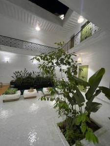 Riad de luxe PAMA au cœur de la médina Marrakech