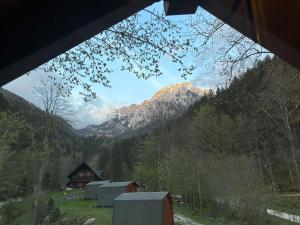 Camping & Glamping Grintovec