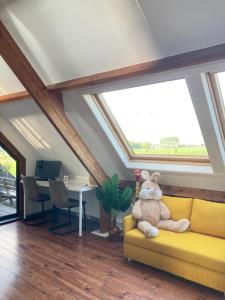 Vakantiewoning centraal in België, veel privacy, prachtig uitzicht, airco