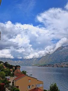 Apartment Kotor