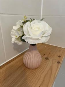 Appartements T2 cosy - toit terrasse prive - WiFi - Bergerac : photos des chambres