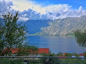 Vibrant BayView Apartment Kotor