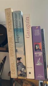 Douai, studio climatisé & poétique, nuit étoilée