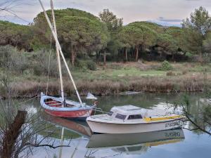 Appartement 2 pièces - un petit coin de paradis