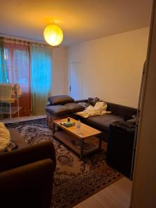 Sejours chez l'habitant transit : Dortoir Mixte 