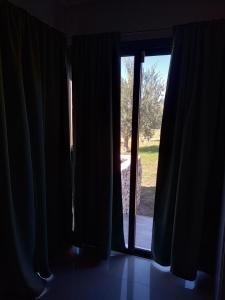 Los olivos