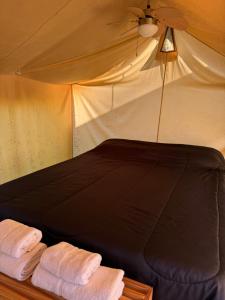 Glamping casa blanca