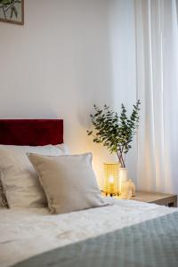 Naruszewicza Apt 4 ROOMs SuperApart