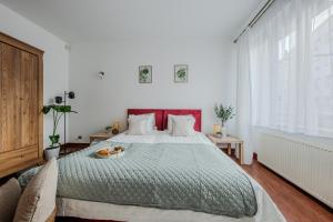 Naruszewicza Apt 4 ROOMs SuperApart