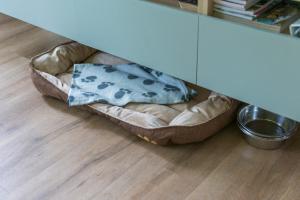 Saffier Zuid-Limburg